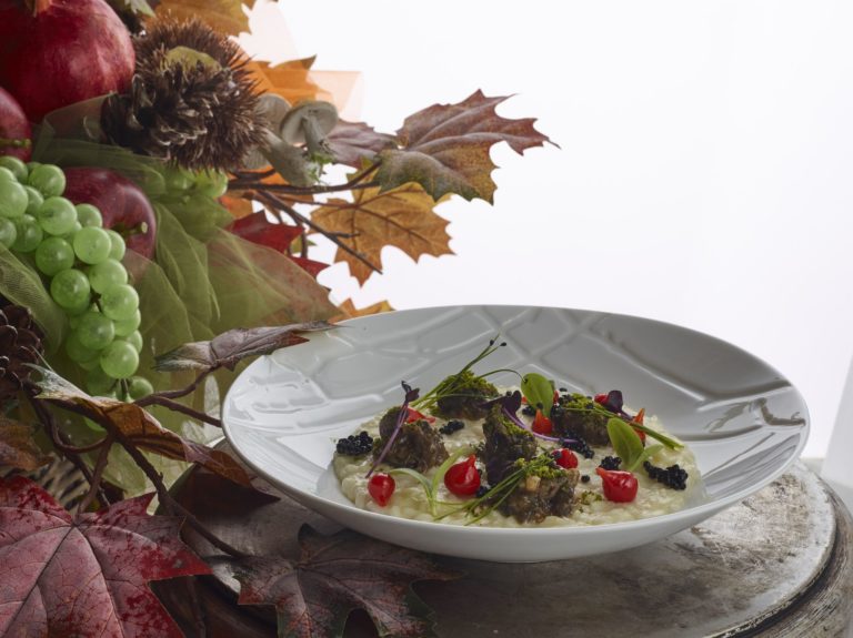 ASSIETTE CREUSE ARIANE BRUSHWOOD DIAM. 25 CM – Image 2